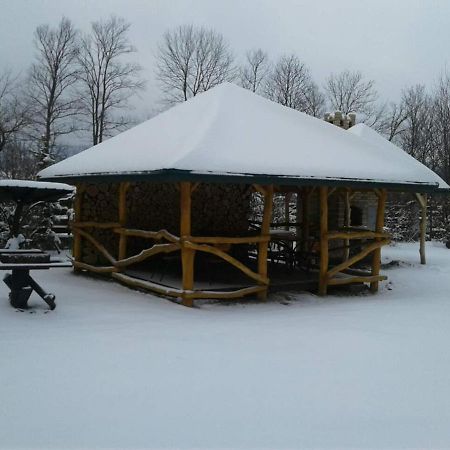 Motel Karpaty Viking Nizhneye Sinevidnoye Exterior foto