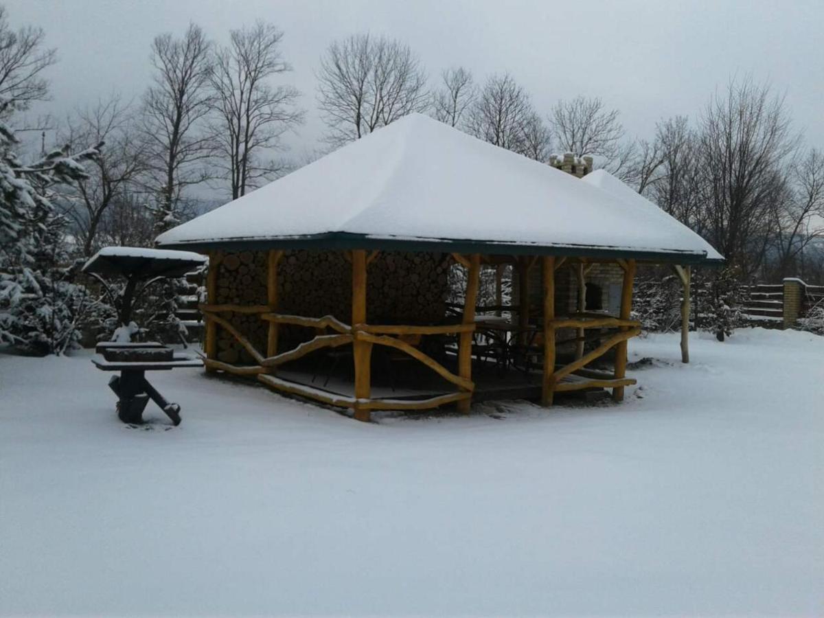 Motel Karpaty Viking Nizhneye Sinevidnoye Exterior foto