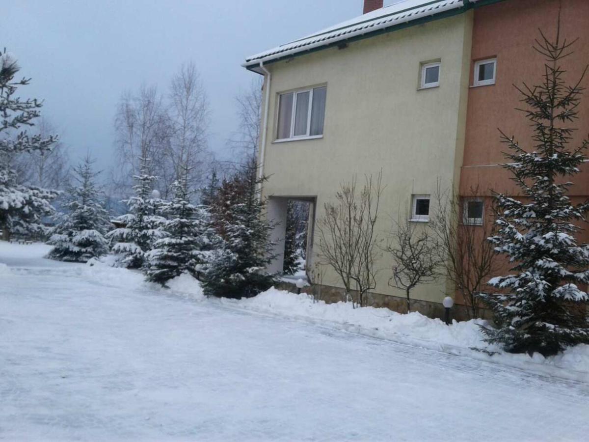 Motel Karpaty Viking Nizhneye Sinevidnoye Exterior foto